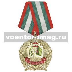 Медаль Ветеран погранвойск (звезда в венке)