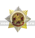 Значок Орден-звезда Защитнику Отечества (с накладкой)