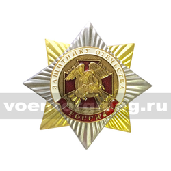Значок Орден-звезда Защитнику Отечества (с накладкой)