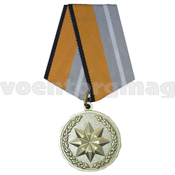 Медаль За достижения в области развития инновационных технологий (МО)