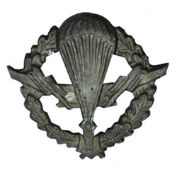 Эмблема петличная ВДВ, старого образца, защитная, металл (пара)