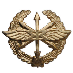Эмблема петличная Войска связи, старого образца, золотая, металл (пара)