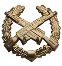 Эмблема петличная Мотострелковые войска, золотая, металл (пара)