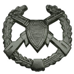 Эмблема петличная Погранвойска, старого образца, защитная, металл (пара)