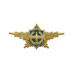Нагрудный знак Символ РА, ВВС