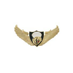 Значок Барс ВДВ с парашютом (крылья со щитом)