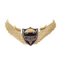 Значок Спецназ (крылья со щитом с летучей мышью на парашюте)