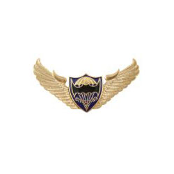 Значок Спецназ (крылья со щитом с летучей мышью на парашюте)