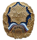 Значок ДМБ Домой!, с подковой (синий фон)