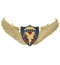 Значок Сова ГРУ,  с парашютом (крылья со щитом)