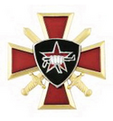 Значок ВВ Крест и мечи, Кулак с автоматом