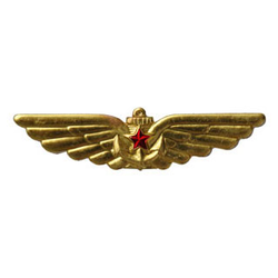 Значок Крылья ВМФ (со звездой)