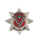 Значок За заслуги ФМС России (малый, на пимсе)