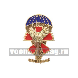 Значок ГРУ Спецназ (сова на мече с гвоздикой и парашютом)