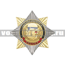 Значок Орден-звезда Спецназ ВДВ (волк), с накладкой
