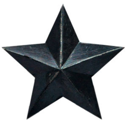 Звезда на погоны 13 мм черная ФСИН (металл)