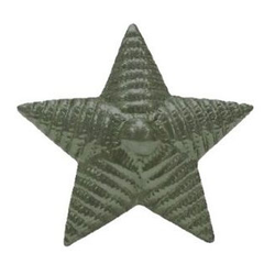 Звезда на погоны 20 мм (рифленая) защитная (МО нового образца, Росгвардия), металл