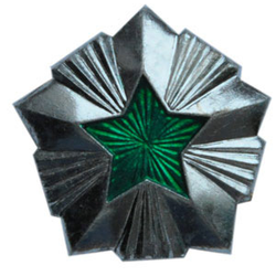 Звезда на погоны 20 мм Общегражданская, серебряная с зеленой эмалью (металл)