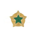 Звезда на погоны 14 мм Росприроднадзор/Госохотнадзор, золотая с зеленой эмалью (металл)