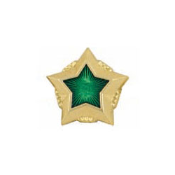 Звезда на погоны 13 мм ФССП, золотая с зеленой эмалью (металл)