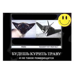 Магнит виниловый (гибкий) со смайликом Будешь курить траву и не такое померещится