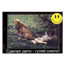 Магнит виниловый (гибкий) со смайликом Сделал дело - гуляй смело!