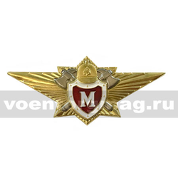 Значок Классность МЧС Мастер