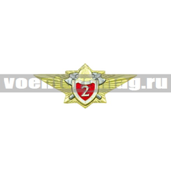 Значок Классность МЧС 2 класс