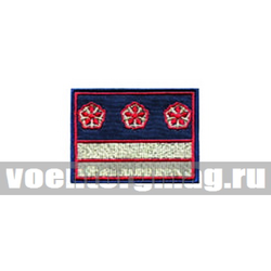 Нашивка Нагрудный знак РЖД (синий) 2 галуна 3 звезды (вышитая)