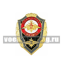 Значок Отличник связист (с эмблемой нового образца, без флага)