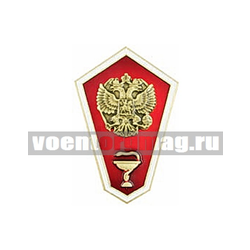 Значок Среднее медицинское образование, ромбовидный (латунь, холодная эмаль с накладным орлом РФ)