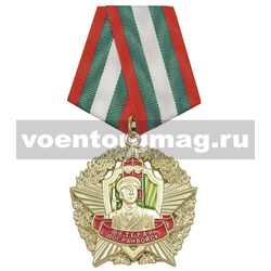 Медаль Ветеран погранвойск (звезда в венке),  с бланком удостоверения