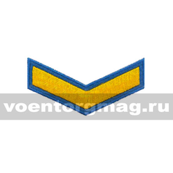 Курсовка голубая 1 курс (вышитая)