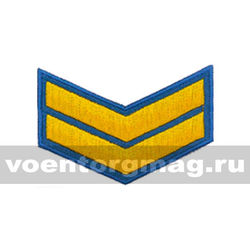 Курсовка голубая 2 курс (вышитая)