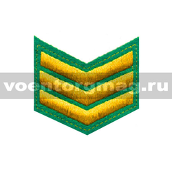 Курсовка зеленая 3 курс (вышитая)
