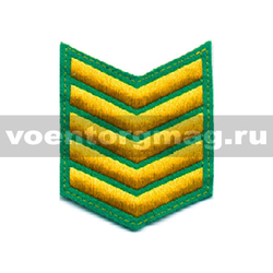 Курсовка зеленая 5 курс (вышитая)