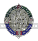 Значок Пограничные войска Граница на замке (100 лет), серебряный (овал)