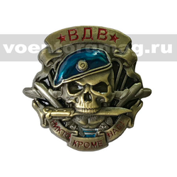 Значок ВДВ Никто, кроме нас! (череп с ножом на фоне эмблемы ВДВ) 26мм, на пимсе