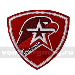 Нашивка Юнармия, щит (вышитая)