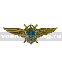 Значок Классность ВВС нового образца, 1 класс (голубой щит, серебряная звезда, мечи)