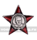 Значок Генерал армии В.Ф. Маргелов, звезда (малый, на двух пимсах)