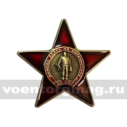 Значок Миниатюра ордена-звезды 30 лет вывода войск из Афганистана (латунь, заливка смолой, на пимсе)