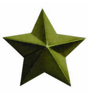 Звезда на погоны 16 мм защитная (металл)