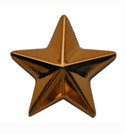Звезда на погоны 20 мм золотая (пластик)