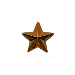 Звезда на погоны 13 мм золотая (пластик)