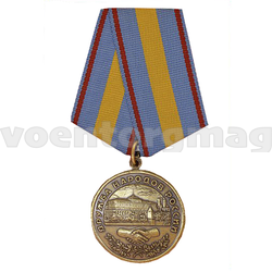 Медаль Дружба народов России