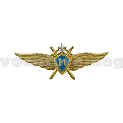 Значок Классность ВВС нового образца Мастер (голубой щит, серебряная звезда, мечи)