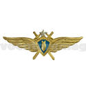 Значок Классность ВВС нового образца летчик-штурман (голубой щит, серебряная звезда, мечи)