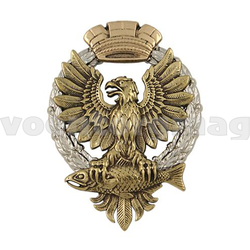 Значок За заслуги перед Елизово