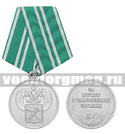 Медаль За службу в таможенных органах XV лет, 2 степень